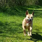 - Pichlarn Irdning Aigen im Ennstal