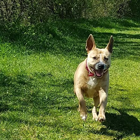 - Pichlarn Irdning Aigen im Ennstal